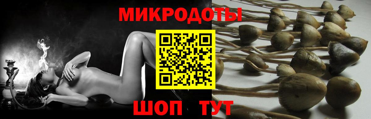 Галлюциногенные грибы MAGIC MUSHROOMS Великие Луки